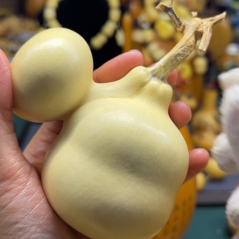 开*哥图兔兔垃圾咯啦咯现在