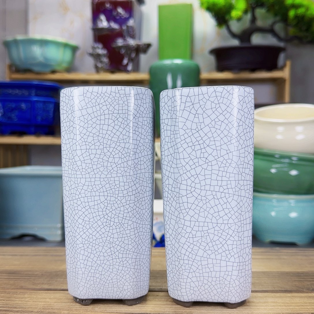 陶瓷花盆特价上新