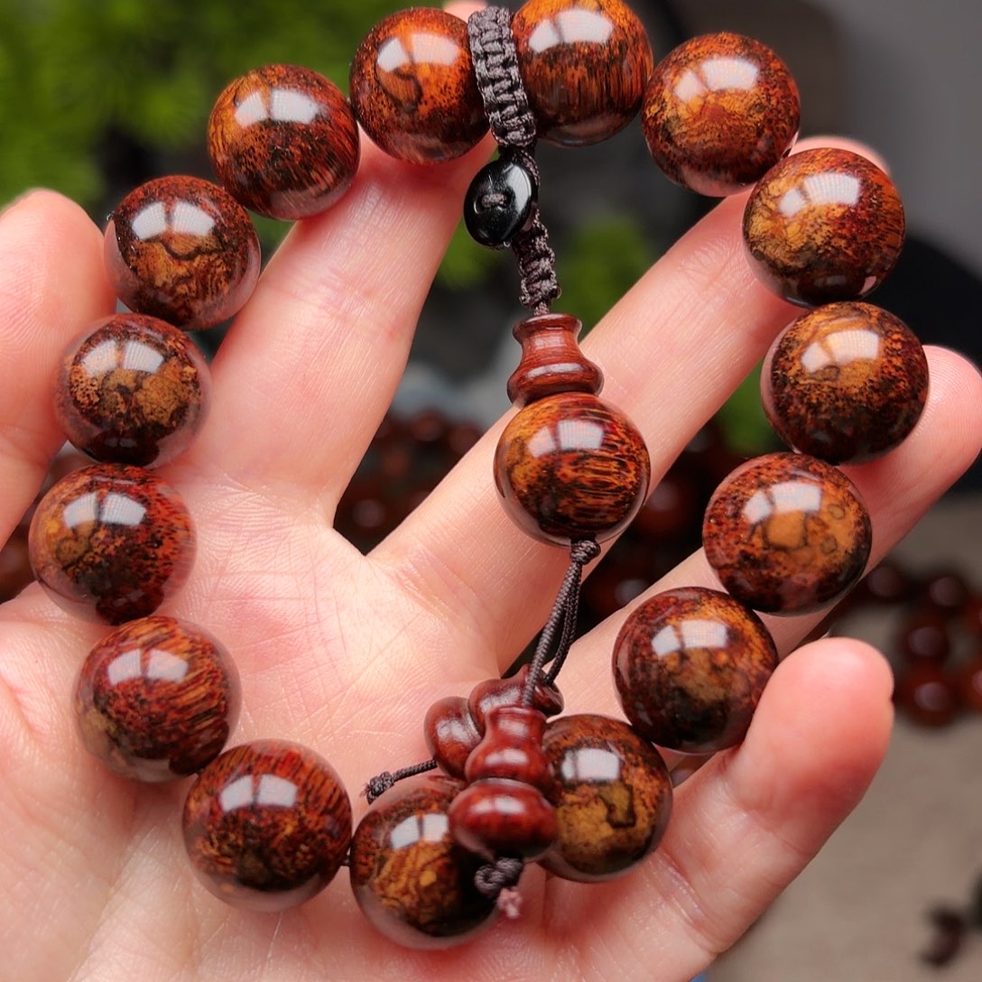 黄花梨/降香黄檀任