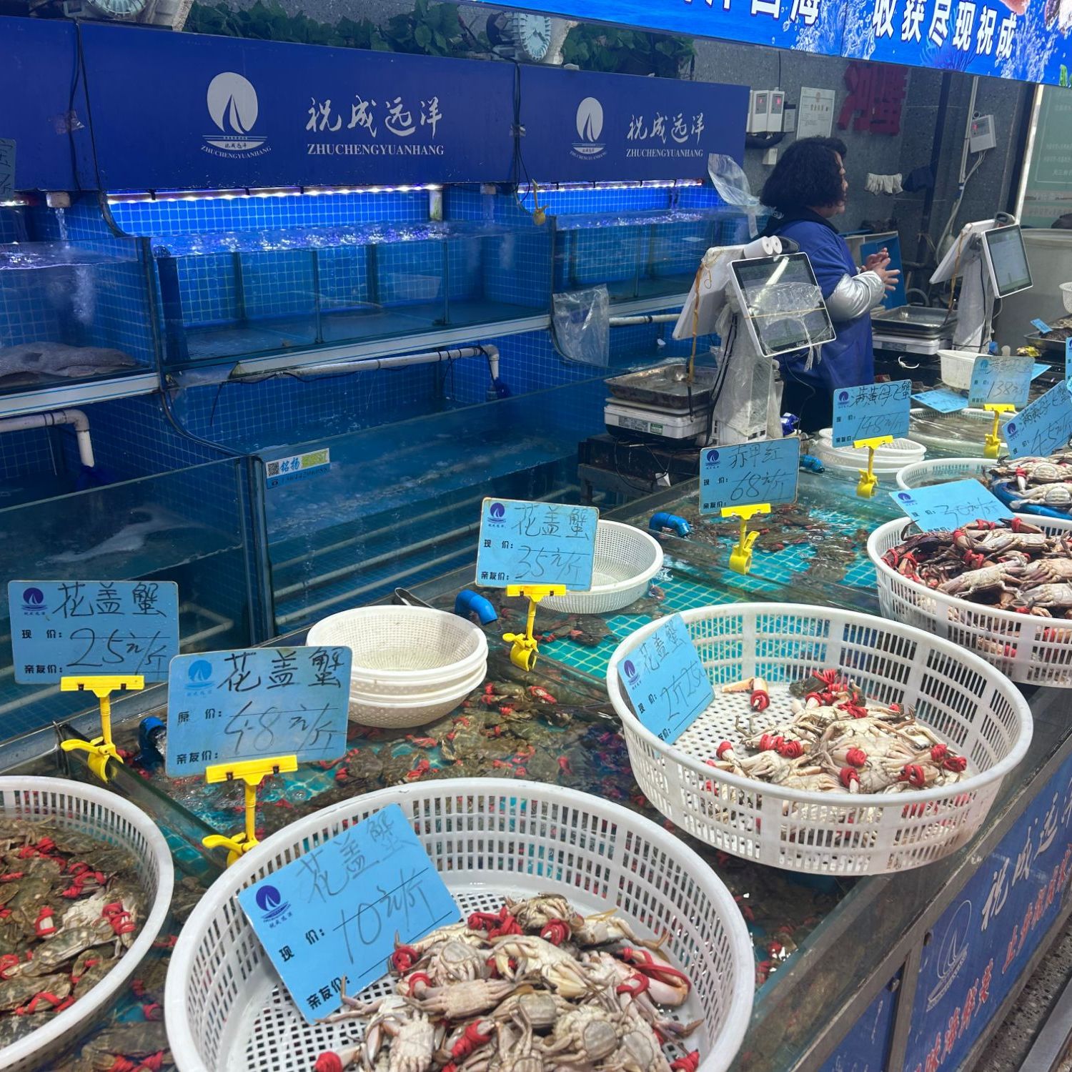 全活插旗 2斤 全活