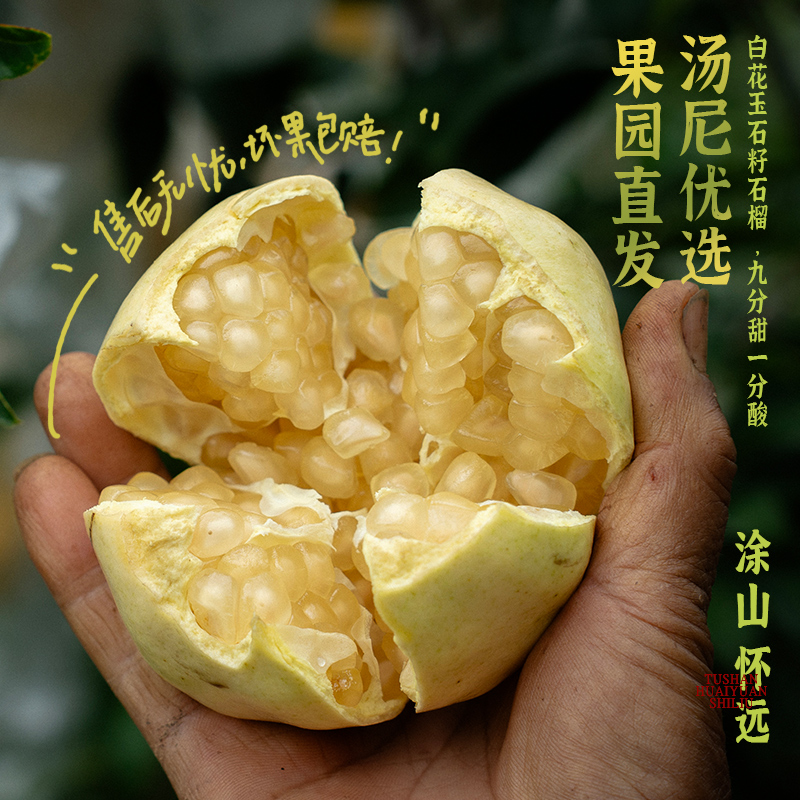 蚌埠特产怀远白石籽石榴白花玉石籽新鲜滋补当季时令水果酸甜可口