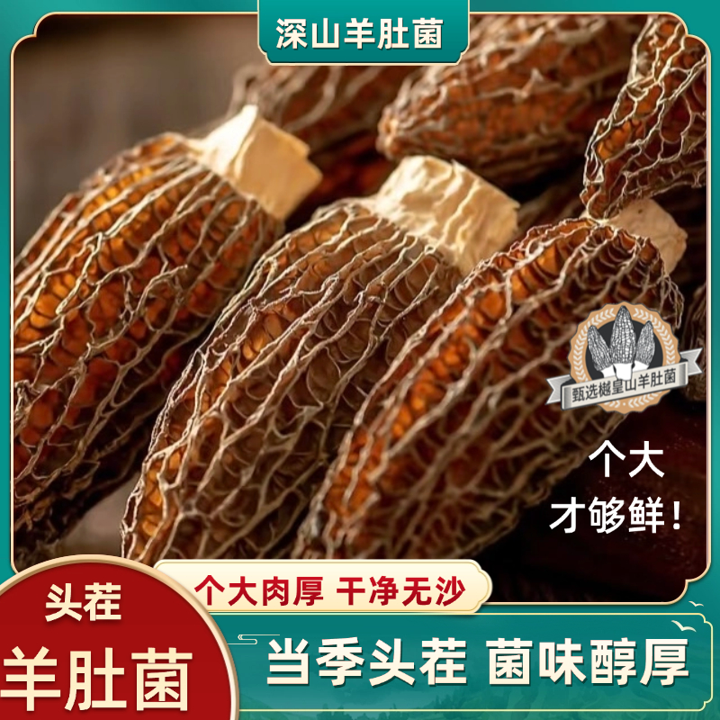 【精品头茬正宗羊肚菌】5-7公分六妹精品 肉质肥厚 煲汤羊肚菌干货