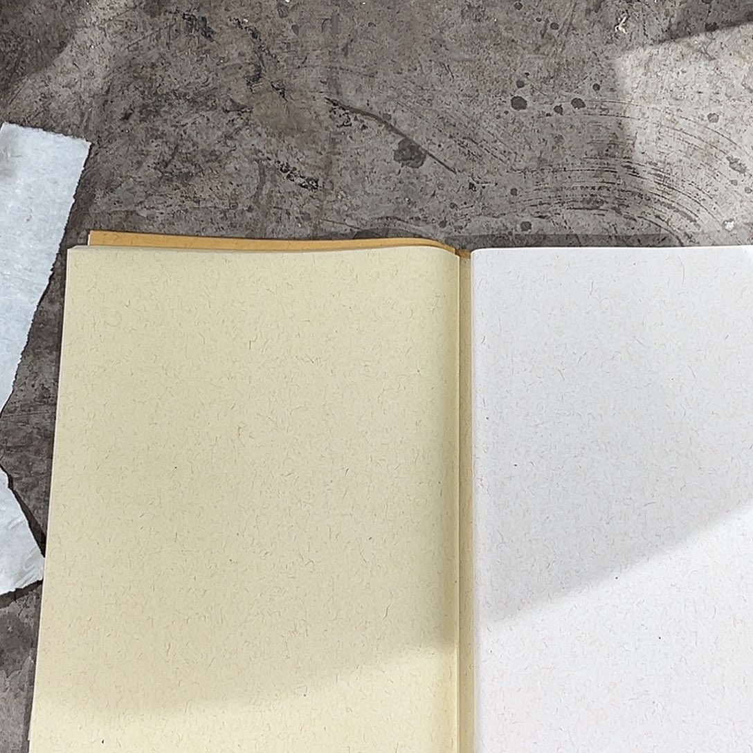 四尺对开双色麻笺。     