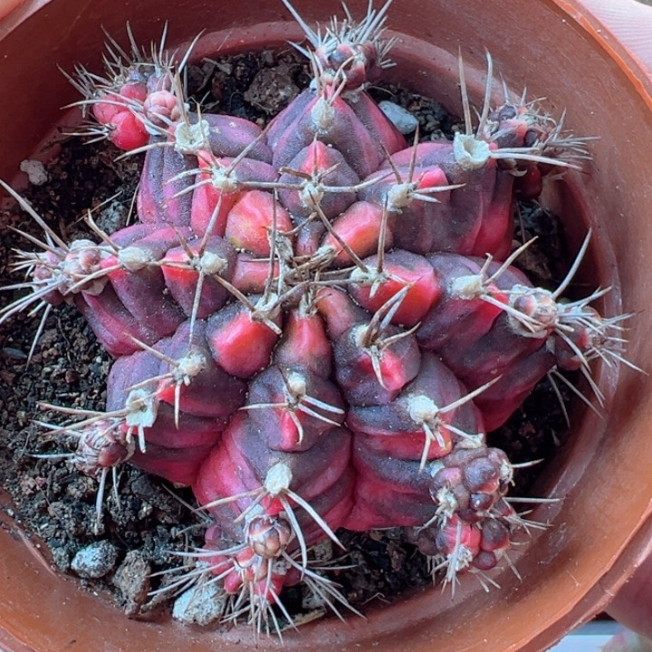 可以在你需要时候出现你需要帮助我解决一切