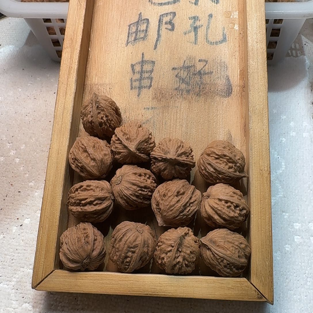 核桃手串/手链104号边23手串