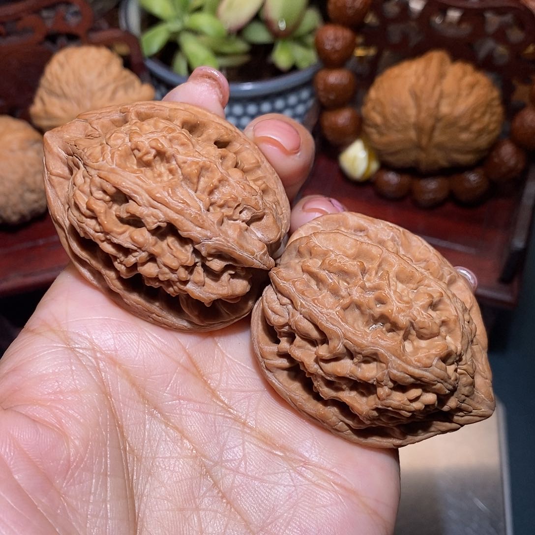 文玩核桃把件41大沽石