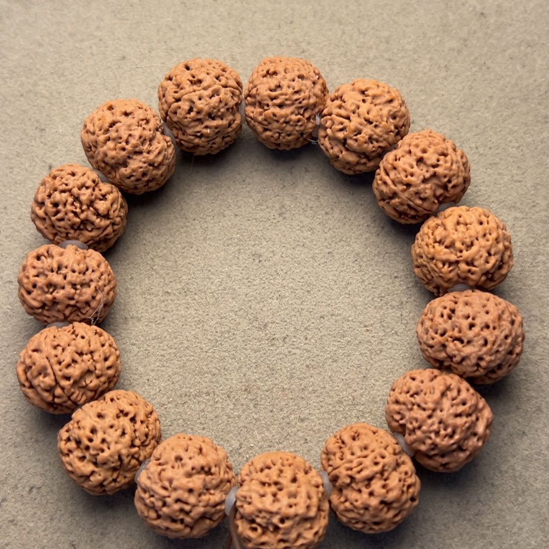 菩提4号金刚菩提五星蜂王菠萝蜜19