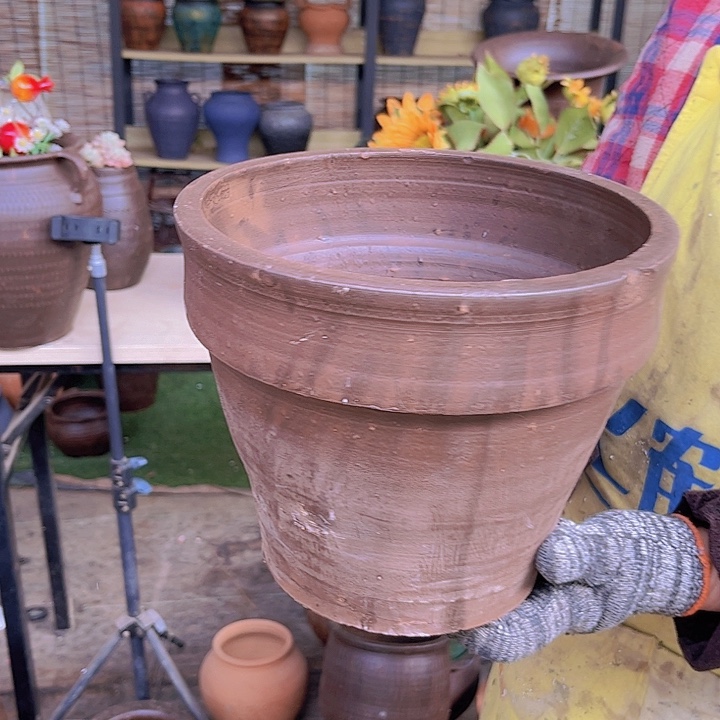 红陶001号18×22瑕111111