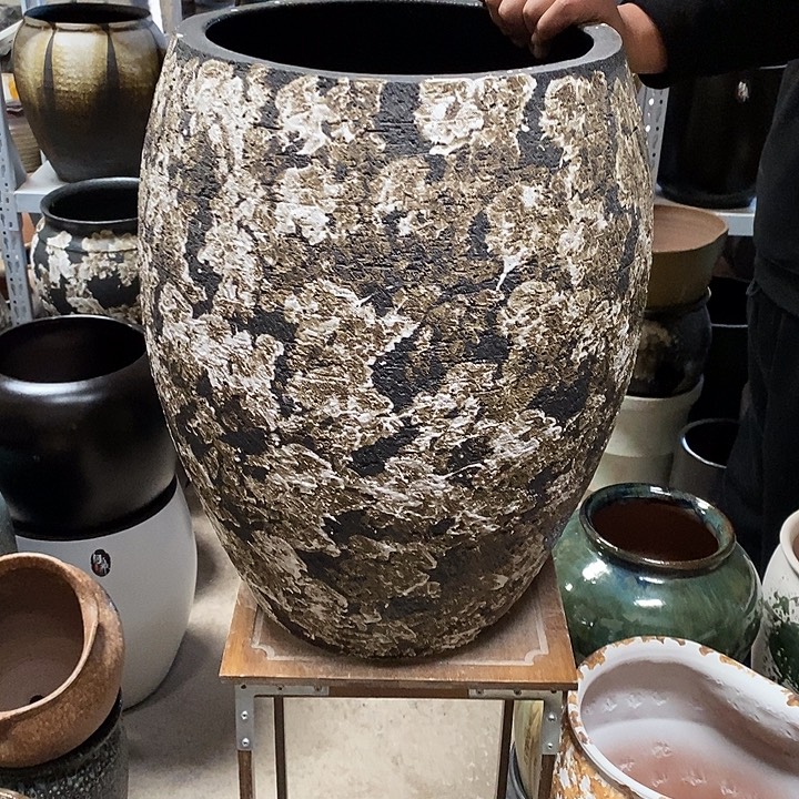 口32高度50黑白…………
