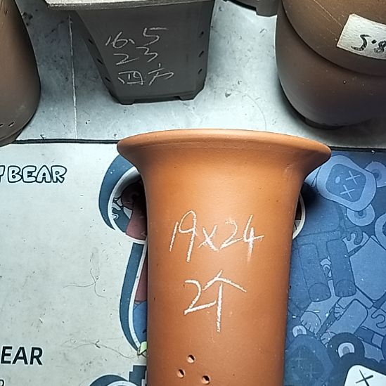 大红兰花两个花盆