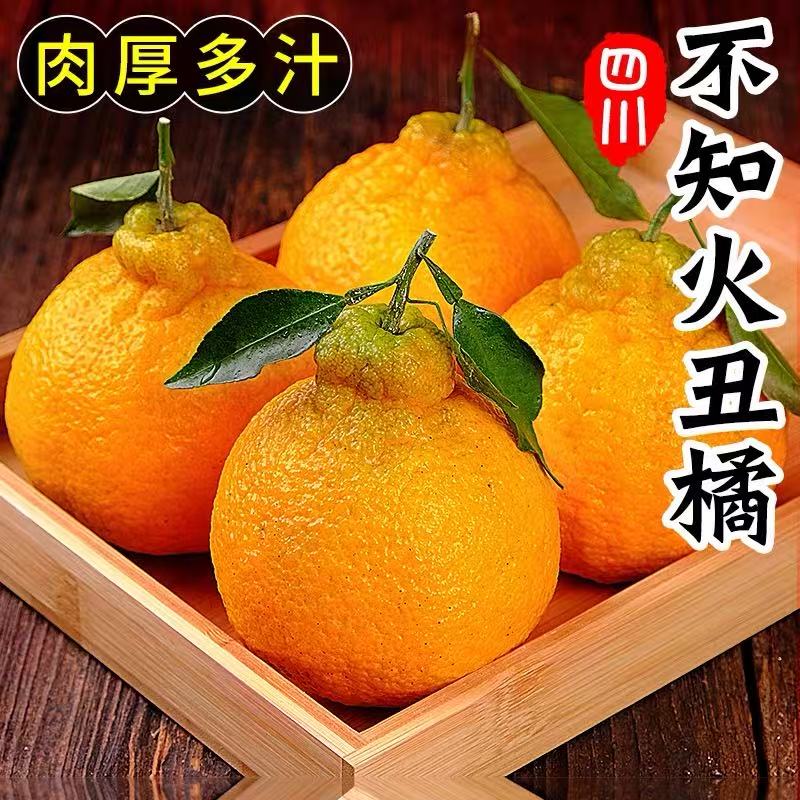 C 正宗四川不知火丑桔丑橘子水果新鲜应季批发5斤整箱