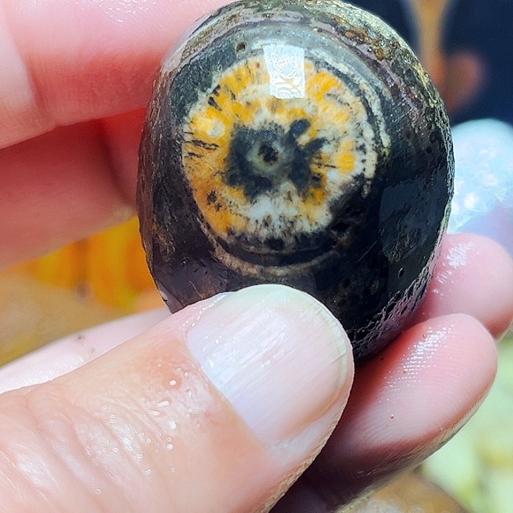 秀***驹玛瑙/玉髓未镶嵌珠宝奇石