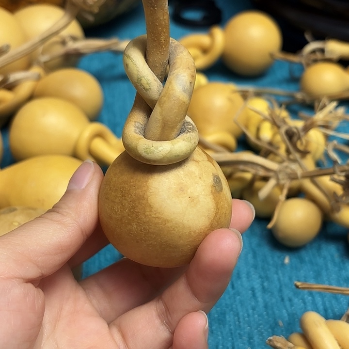 漫***生一把葫芦便宜漏了