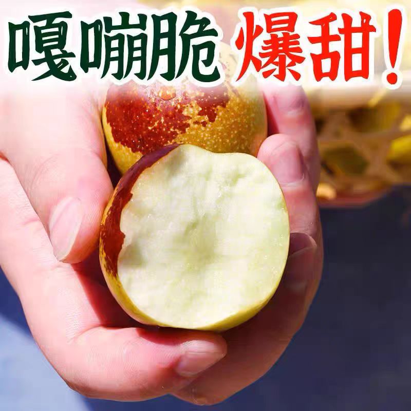 陕西大荔冬枣大果新鲜直发脆甜5斤装顺丰包邮次日达陕西省