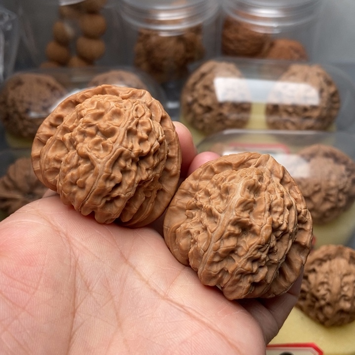 文玩核桃把件從*✨白狮子