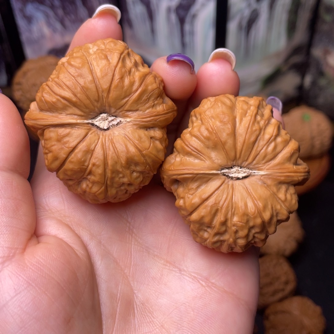 文玩核桃把件45南瓜墩