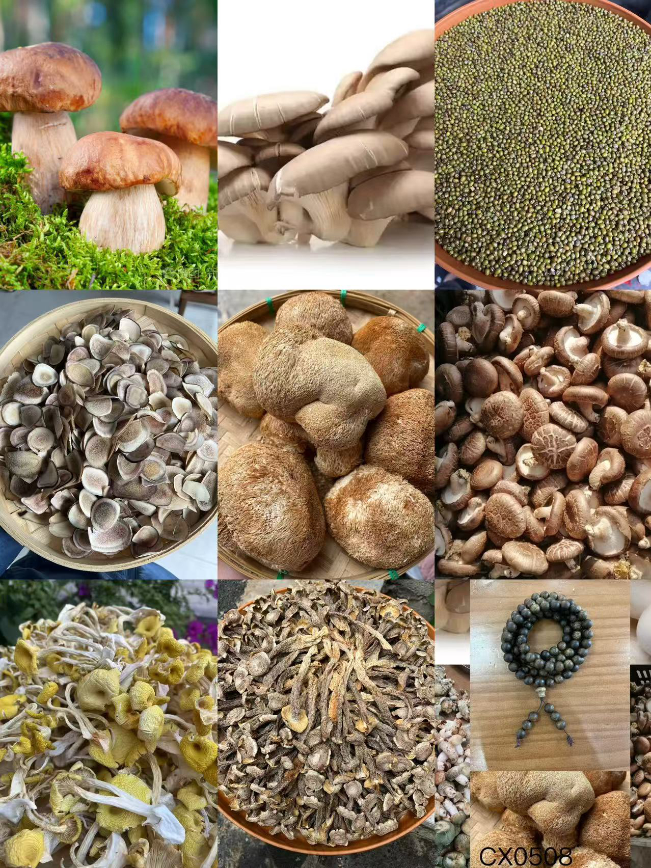 【孙哥专属土特产Cx-0508】多样性发货 重量45克