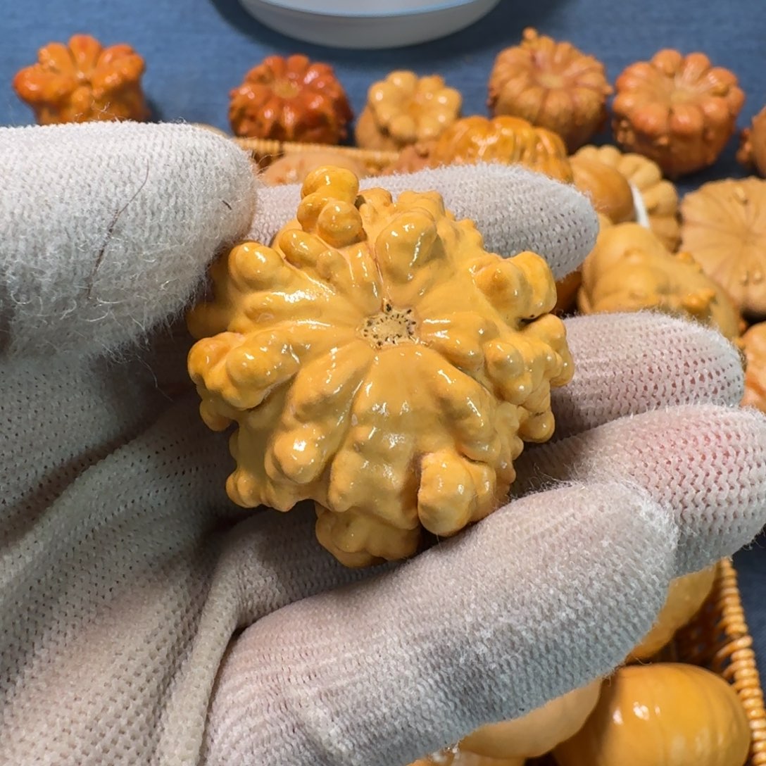 贤***父墨西哥七彩疙瘩葫芦特价不退换