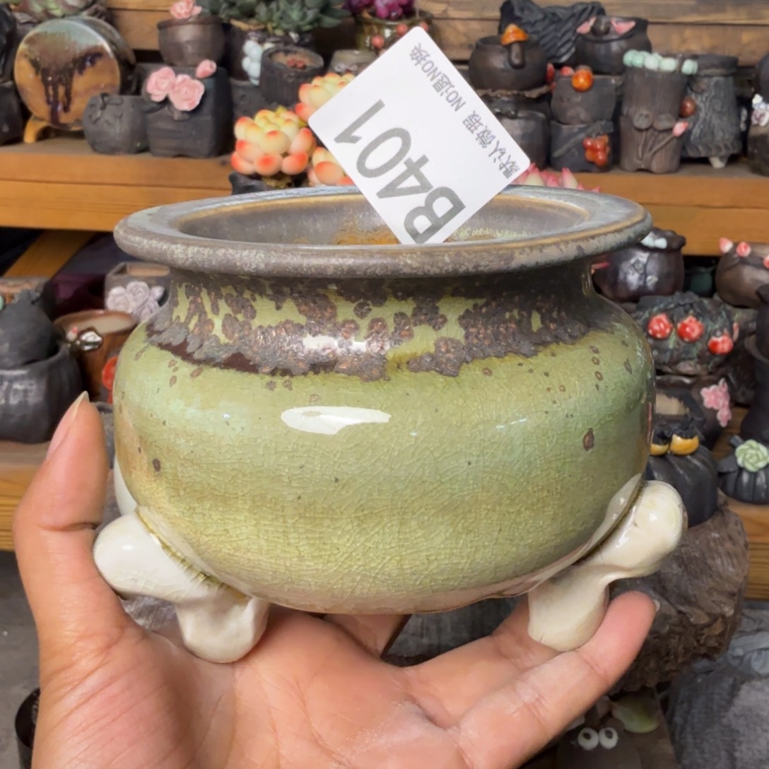 重庆小燕子欢迎大家401