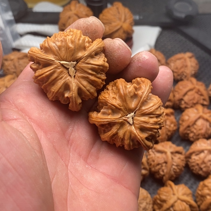 核桃把件拼接白狮子3