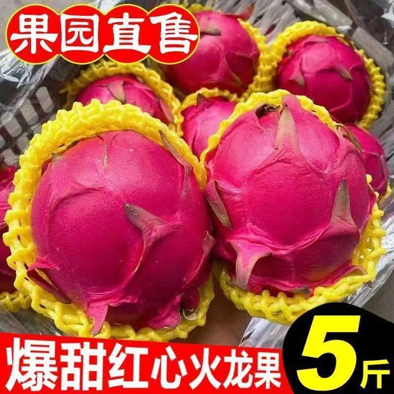 L1【助农补贴】京都一号红心火龙果带箱5斤现摘现发新鲜直发