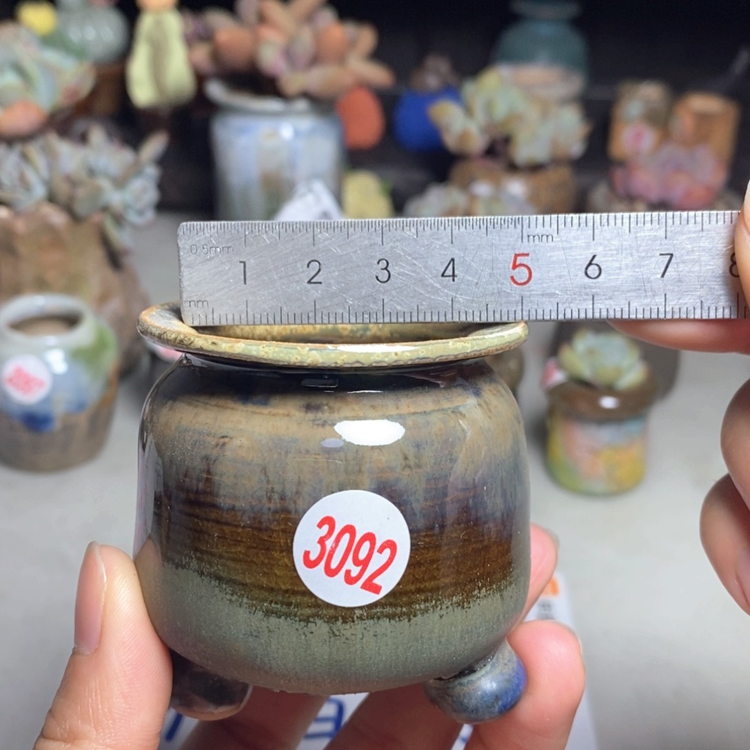 拍5送一个小礼物