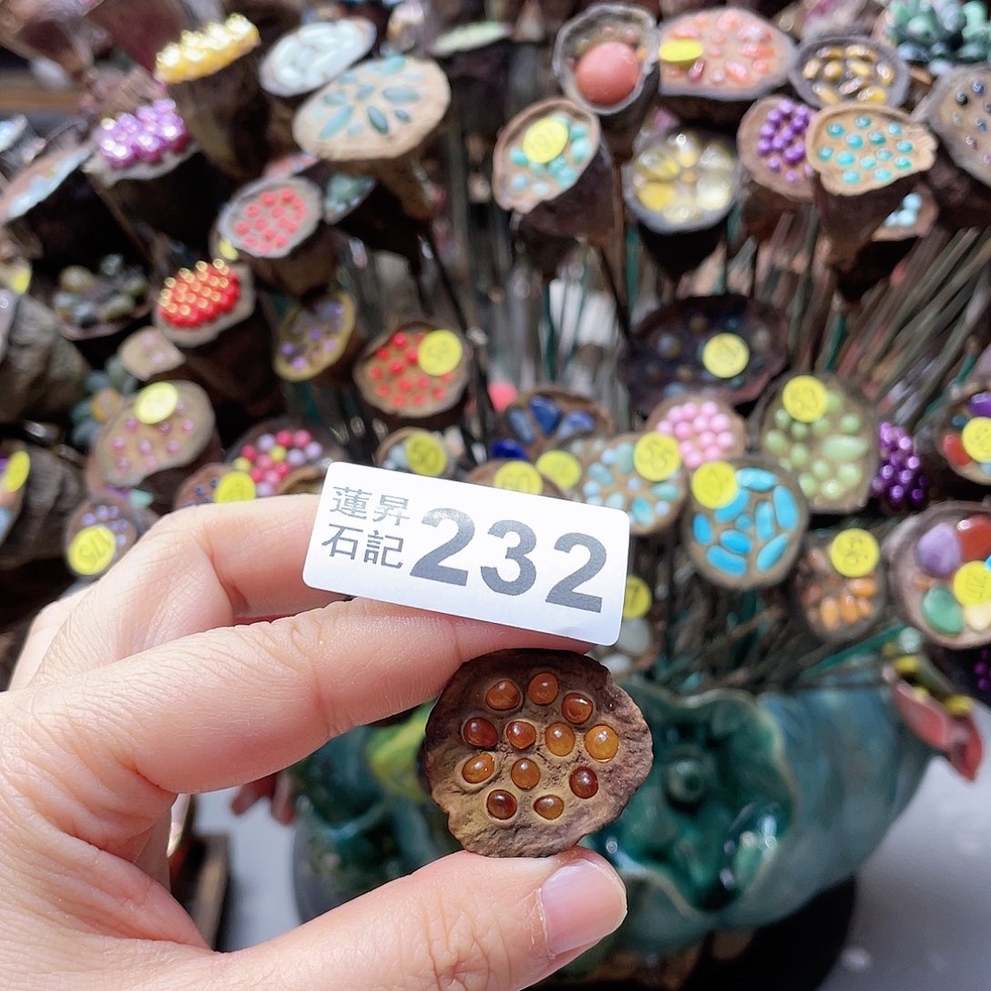 核桃木/黑胡桃（胡桃木）金*豆232