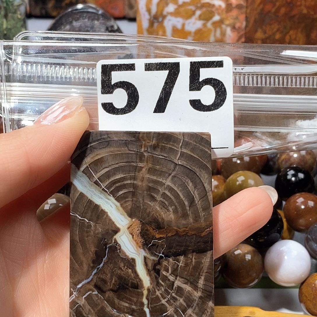 未镶嵌天然北票树化玉吊坠硅化玉