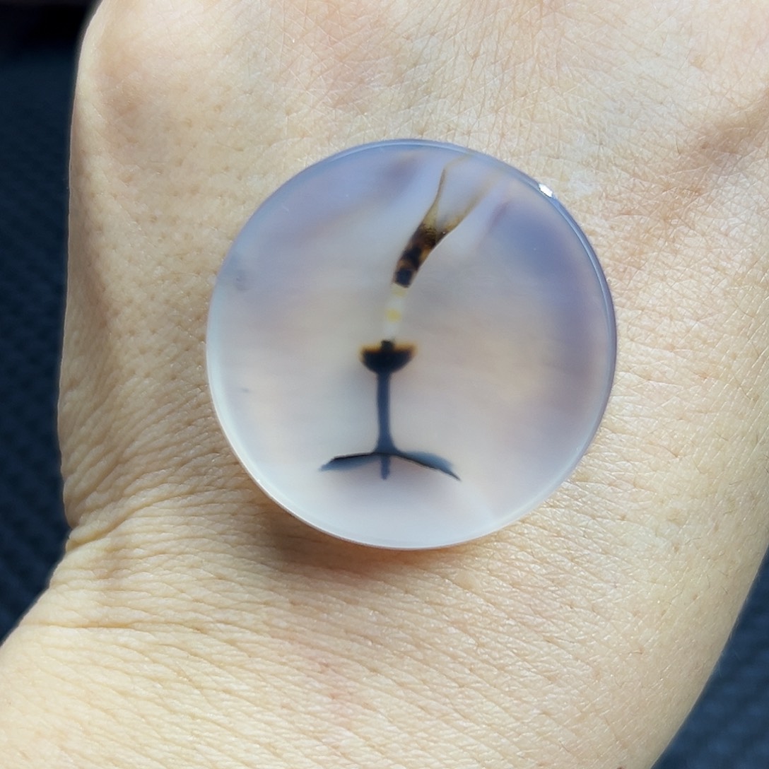 海***洋玛瑙/玉髓未镶嵌珠宝半成品