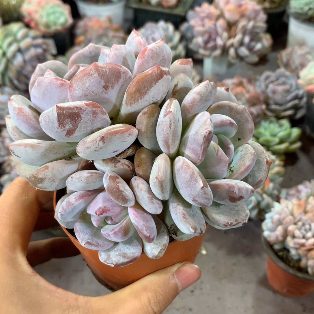 哈哈哈哈哈哈哈哈哈哈