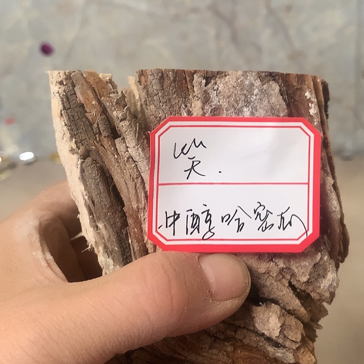 笑***路大叶紫檀（黑酸枝木类）