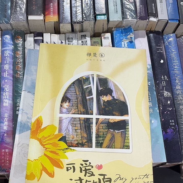 可爱过敏原全新全套两本带周边