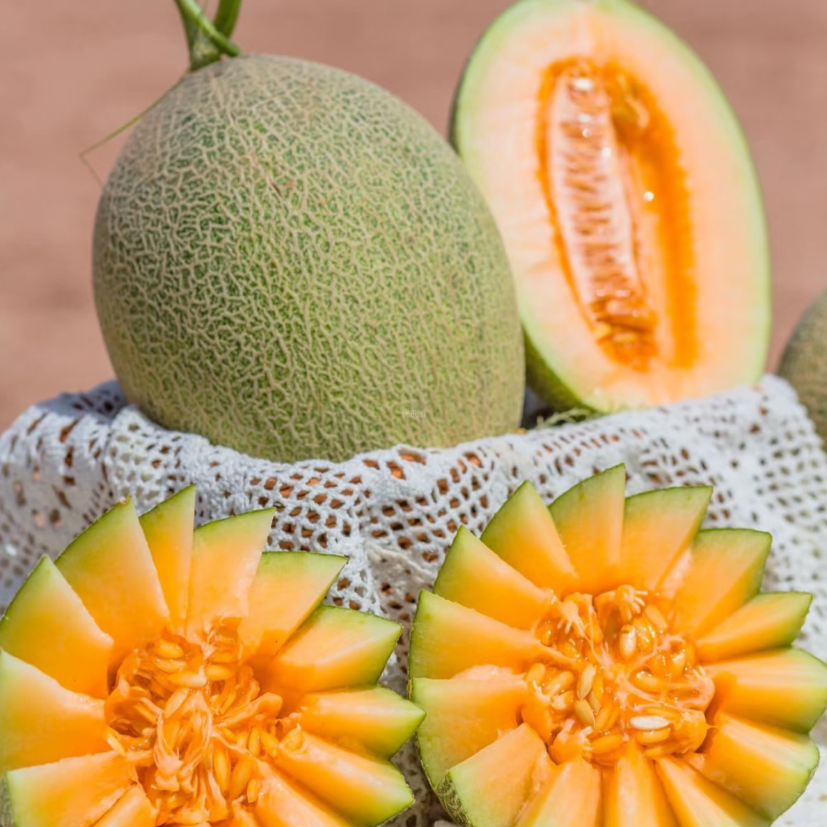 田博士蜜哈密瓜（个）