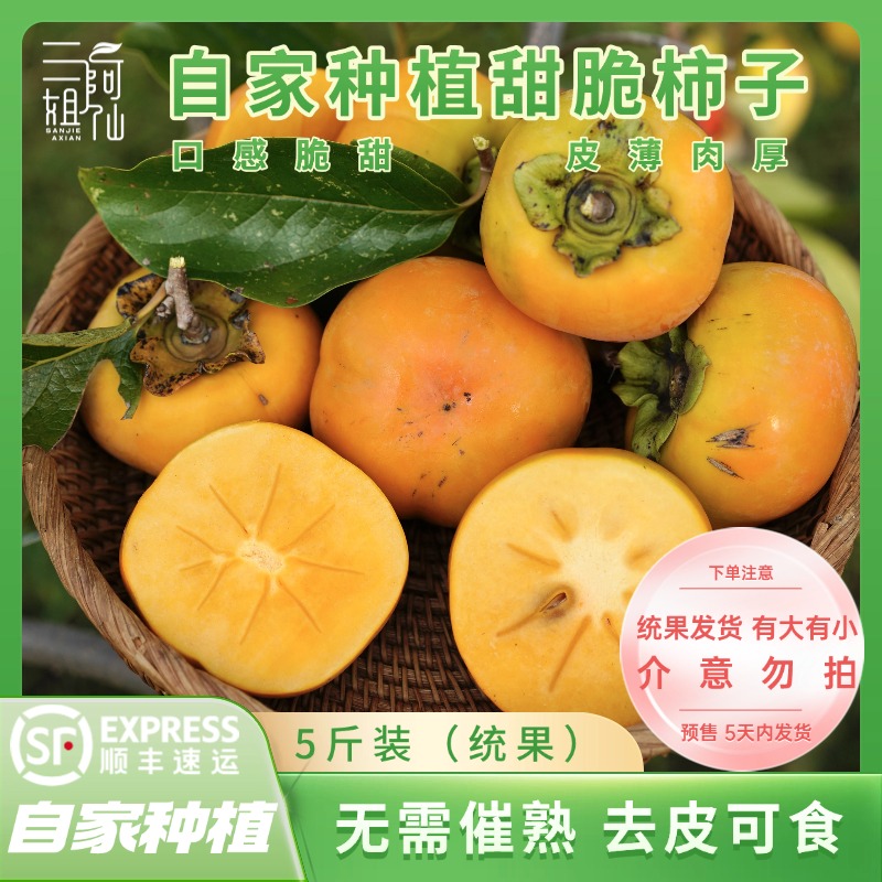 自家种植新鲜甜脆柿子生吃口感脆甜5斤顺丰包邮