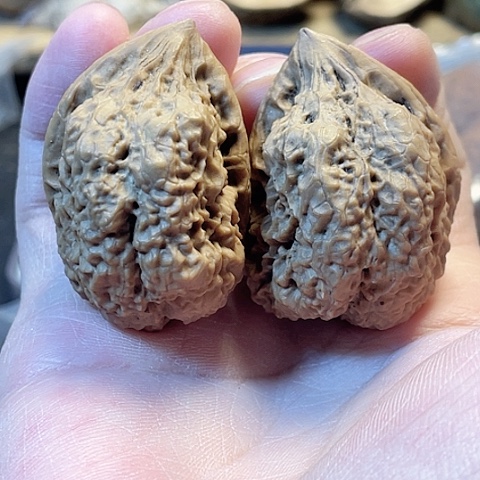 文玩核桃把件半壁带彩40