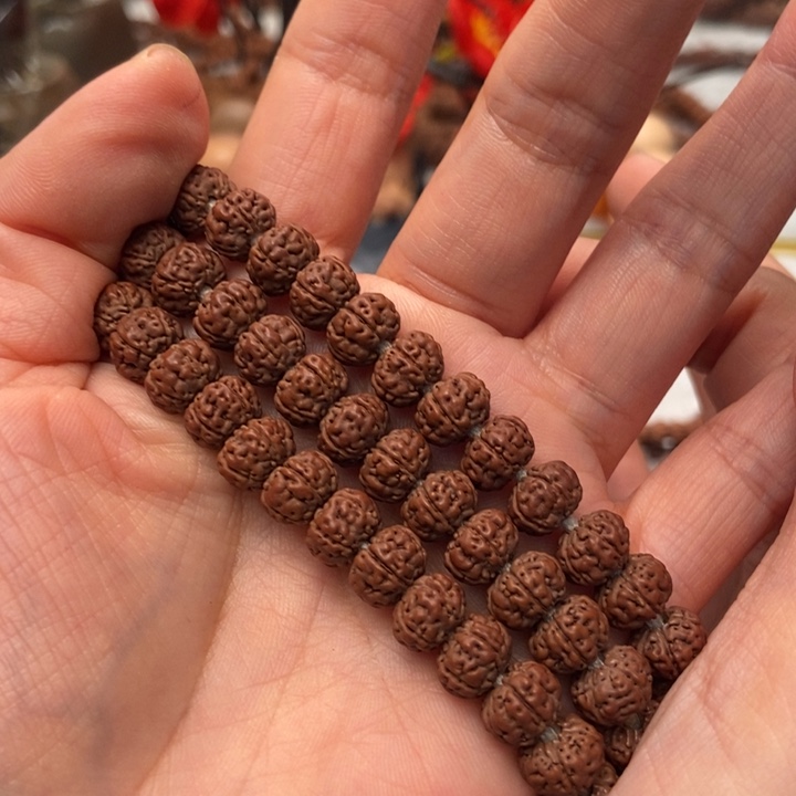 昭***啊金刚菩提手串纯血老树王108