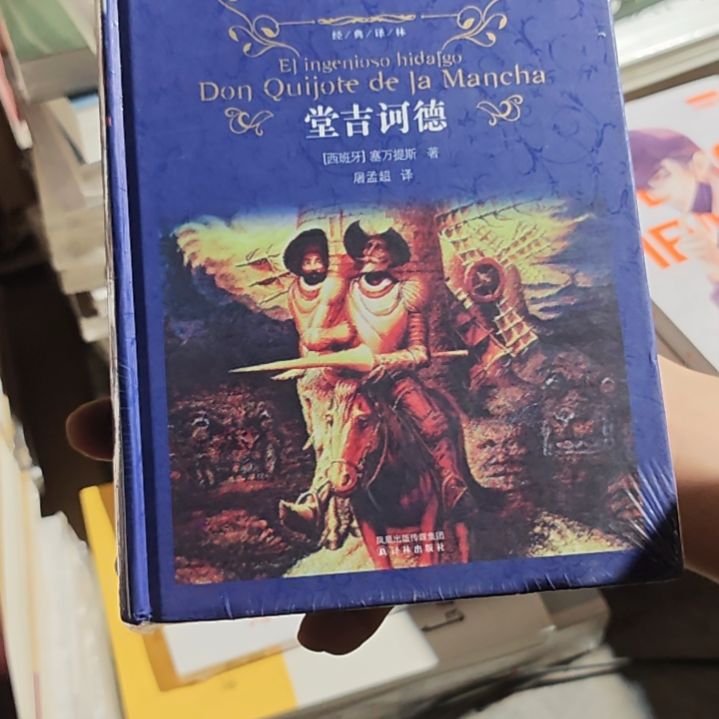 堂吉诃德精装库存书