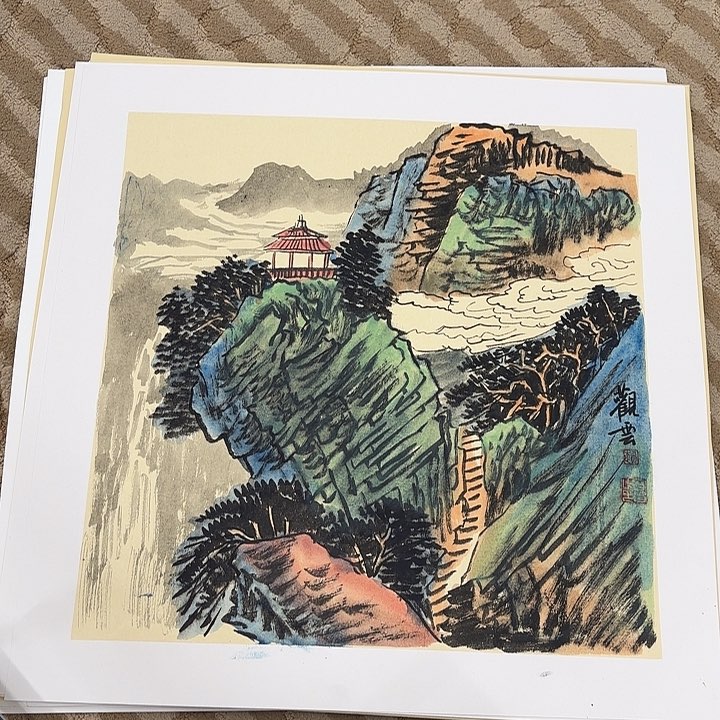 国画花鸟的翅膀和羽毛的50.50