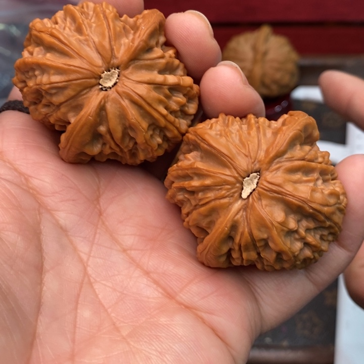 核桃女娲石43尺核桃