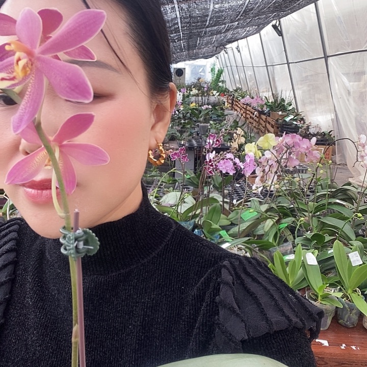 无花朵青铜女孩蝴蝶兰