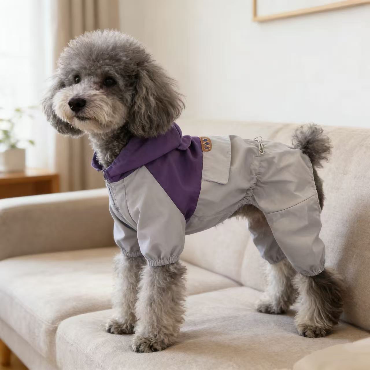 宠物潮牌冲锋衣泰迪比熊雪纳瑞法斗狗狗猫咪秋冬保暖衣服