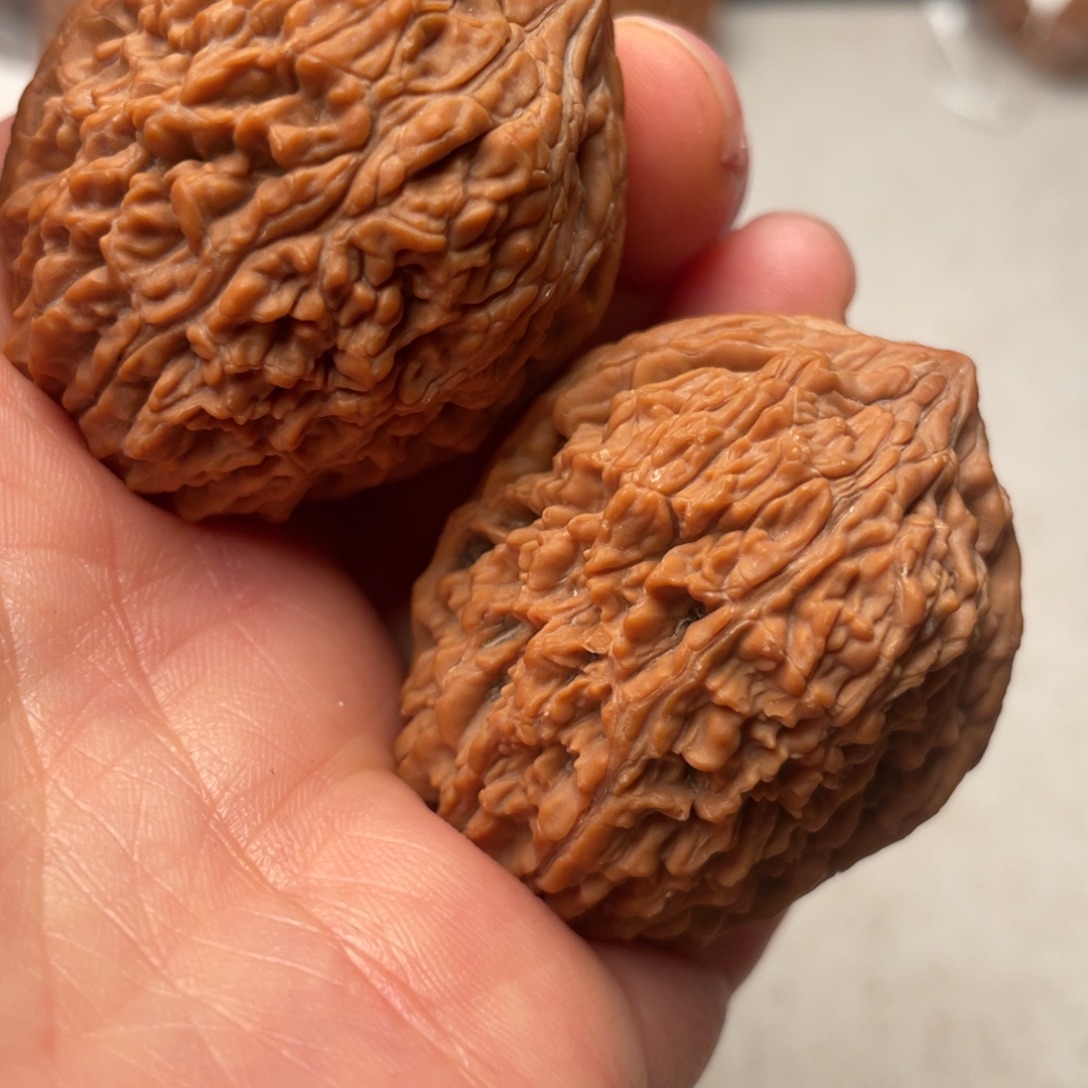 大叶紫檀（黑酸枝木类）大蒜头36尺