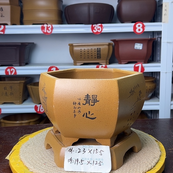 花盆紫砂你在一起