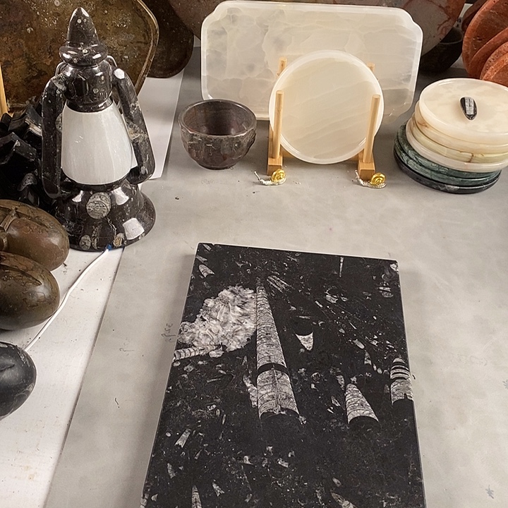 永***恒化石角石角石干泡台