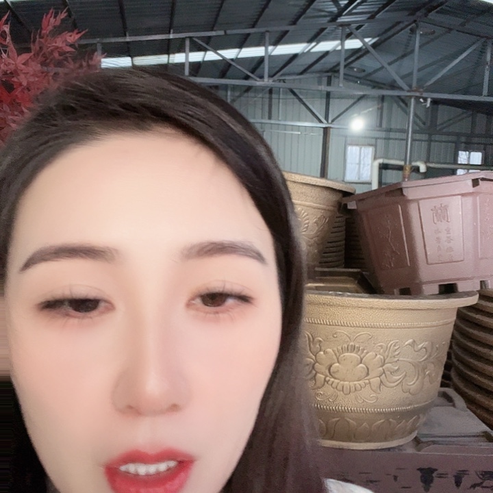 圆60口径花盆三个