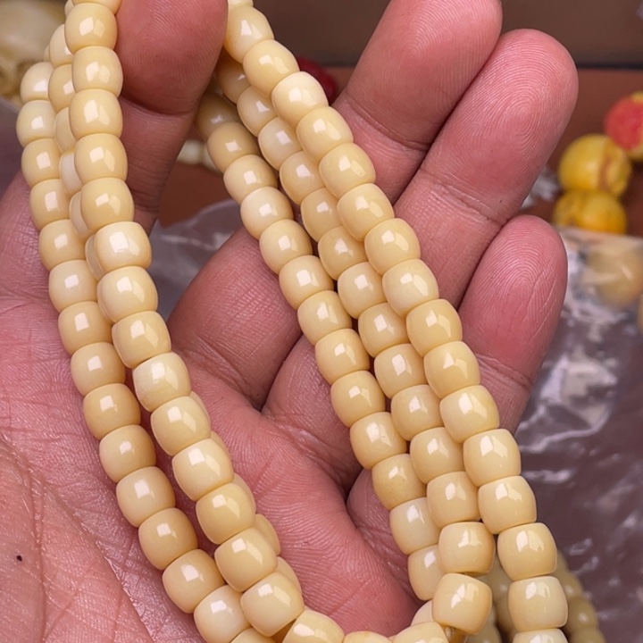 驼骨其他人工养殖