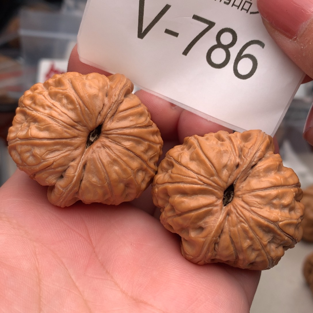 文玩核桃把件42元宝……….