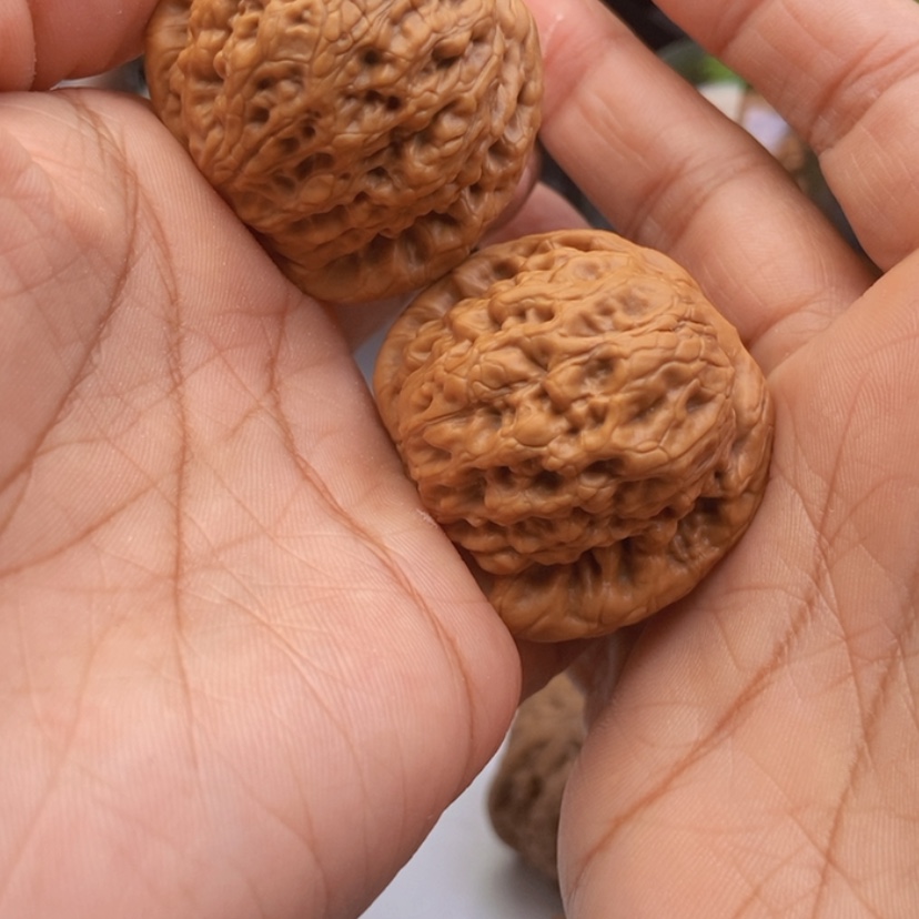 【闪购商品】文玩核桃把件41金公子