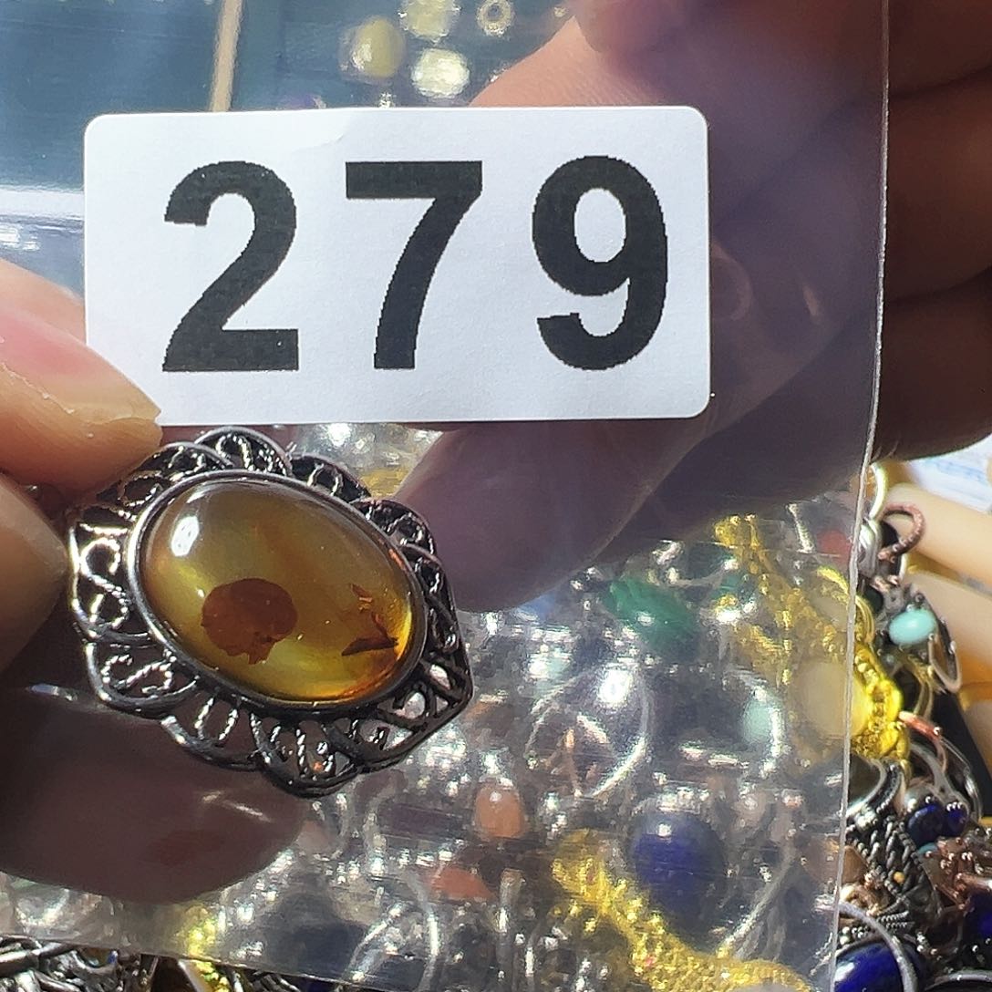 琥珀（花珀）颈饰未镶嵌