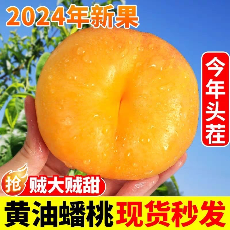 【纯甜爆汁】彩虹油蟠桃稀有黄油蟠桃黄心油桃扁桃新鲜桃